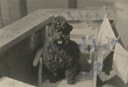 Xsaver, 2Jahre (Bild 1961)