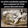 /album/lustiges/img-2075-jpg/
